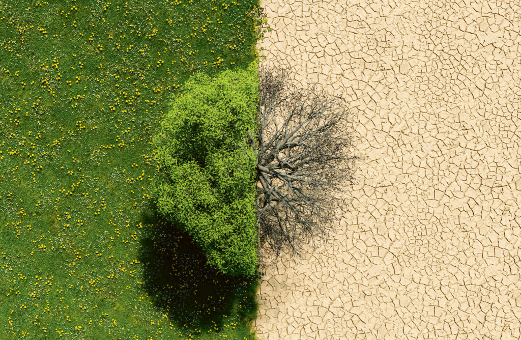 3D-Darstellung: halb grüne Landschaft halb Wüste. Blick von oben. Ein Baum steht auf der Mitte zwischen grün und Wüste und ist ebenfalls halb grün und halb verdorrt. Das Bild soll Klimawandel repräsentieren.