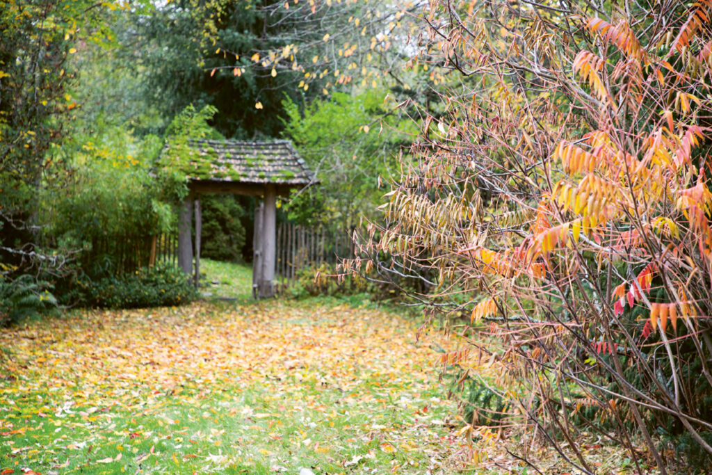 Blick in den Garten des Zen-Zentrums, das Tor führt zu einem Teich