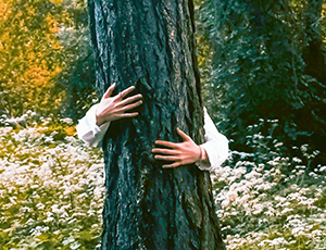 Menschenhände auf Baumstamm: Umarmung von hinten