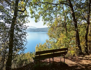 Bäume, Bank und Blick auf einen See
