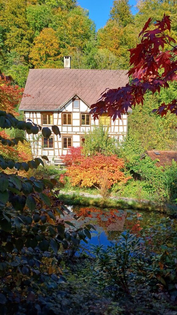 Blick auf Haus Tao mit Zen-Garten, inmitten von herbstlich gefärbten Bäumen
