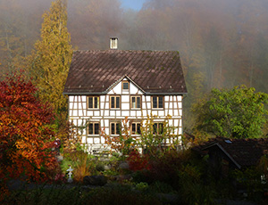 Vorschaubild Meldung 40 Jahre Haus TAO, Schweiz